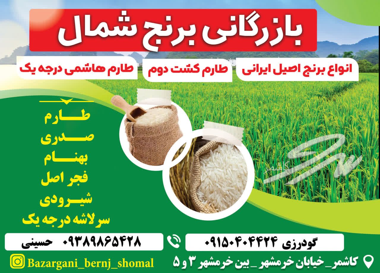 بازرگانی برنج شمال